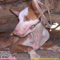 /album/fotogaleria/images-11-jpg1/